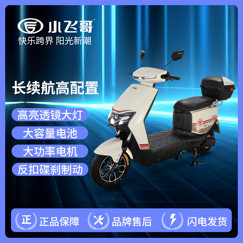 小飞哥新国标D09电动车48V两轮电瓶车自行车日常通勤接送儿童车