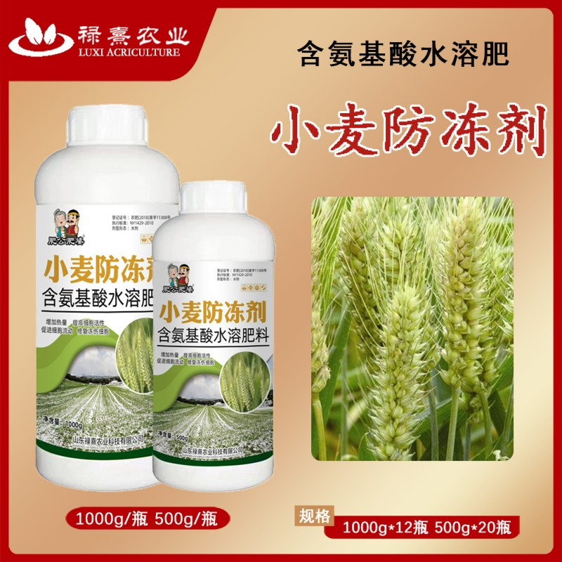 小麦专用抗寒防冻剂增加抗冻抗寒能力提高产量叶面水溶肥