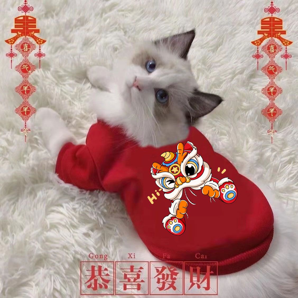 【好物分享】狗狗猫咪秋冬装泰迪比熊博美小狗小型犬宠物冬季卫衣