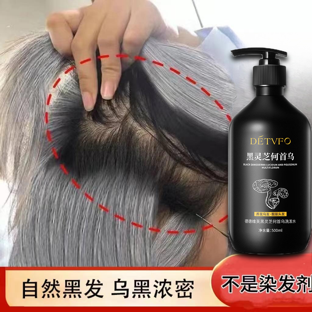 黑灵芝何首乌洗发水 保湿去屑控油养护黑发滋养强韧固发改善毛躁