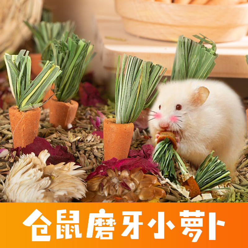 【鼠鼠福利】仓鼠胡萝卜磨牙棒零食玩具金丝熊龙猫食用造景仓鼠用品