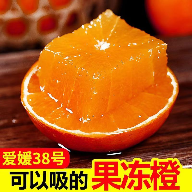 TZ【新鲜多汁】四川38号爱媛果冻橙当季水果现摘现发带枝叶坏果包赔