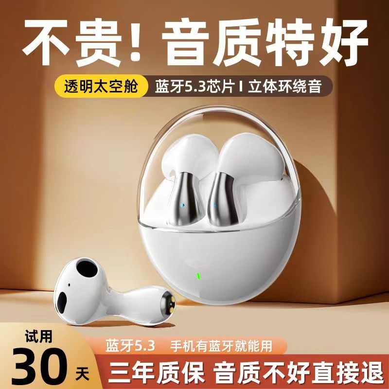 破价宠粉无线蓝牙耳机降噪苹环绕音果安卓通用高音质听歌触控透明