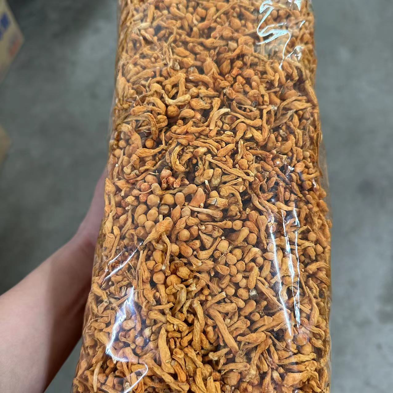 【三三】排草孢子头虫草花500g