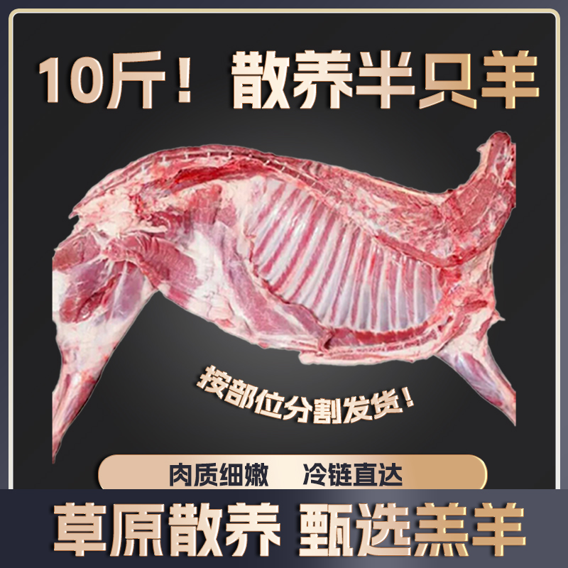 半只羊原切散养羔羊10斤羊肉冷冻羊蝎子羊排羊后腿（不带礼盒）LY
