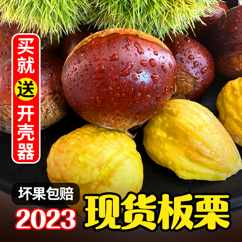 2023当季丹东板栗新鲜板栗大板栗仁野生毛栗子生板栗菜栗子5斤