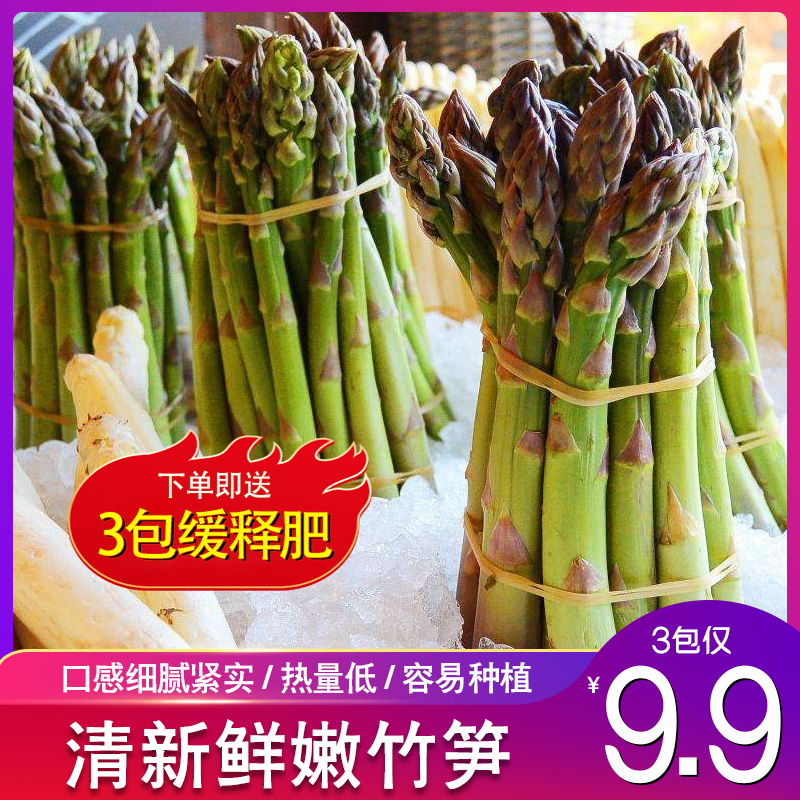 【3包/9.9元】鲜嫩芦笋种子四季种植优质绿芦笋种籽抗热蔬菜种子