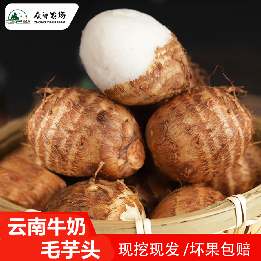 云南高山毛芋头10斤5斤3斤装新鲜芋艿牛奶小芋头产地直发新鲜芋头