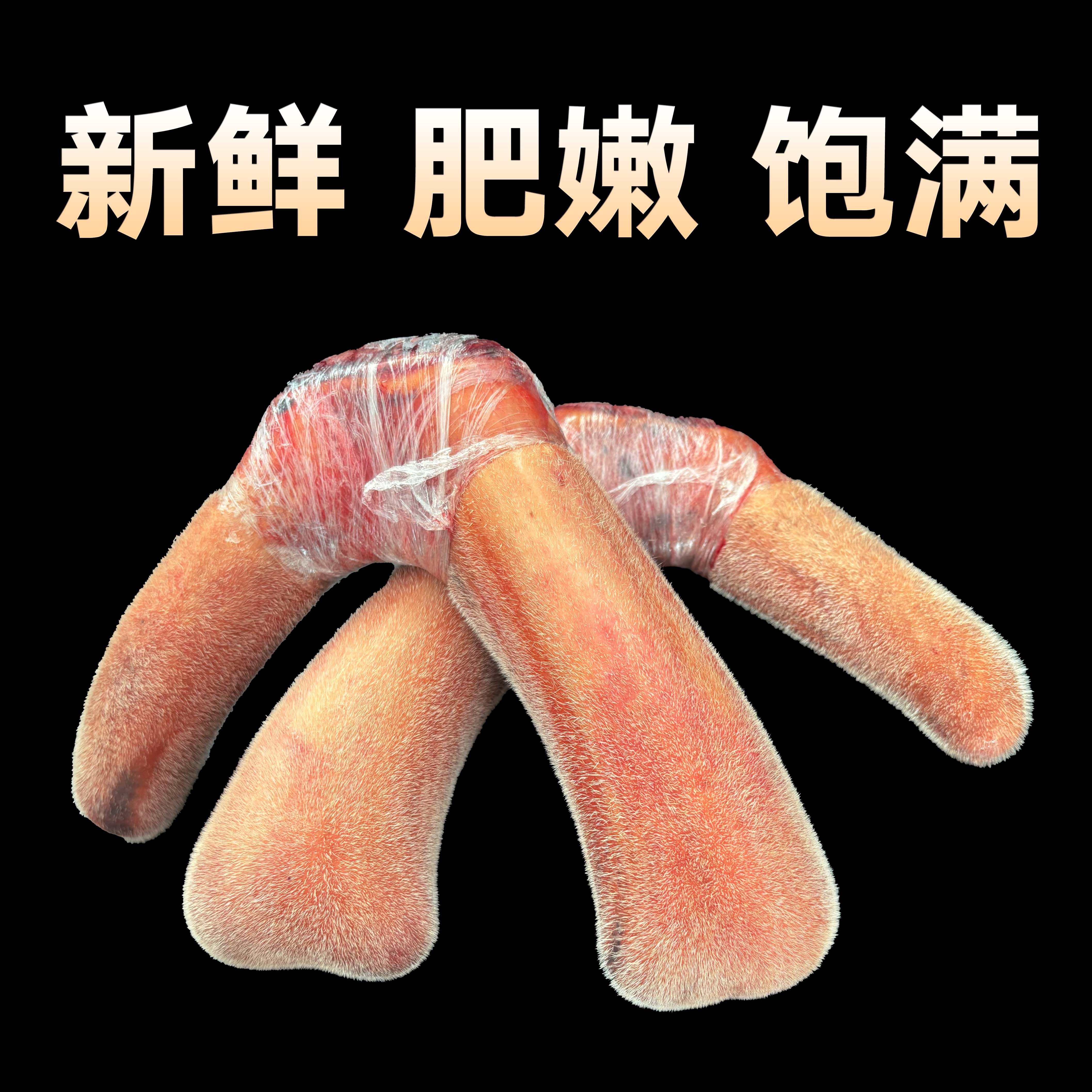 洋 吉林鹿乡 鹿茸 新鲜鹿茸枝 直播间选购 顺丰包邮
