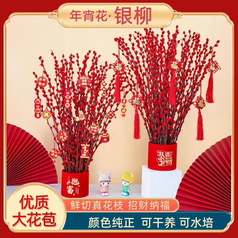 招财银柳真花鲜枝红色新年福桶年宵花卉耐寒植物干花室内客厅装饰