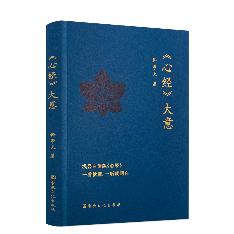 心经大意释净天著十二因缘浅显白话版心经佛学初学者经典书籍经书