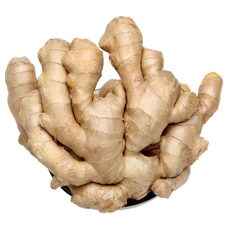新鲜云南大姜特价干净无土生姜现挖发货一斤包邮炒菜食用产地直发