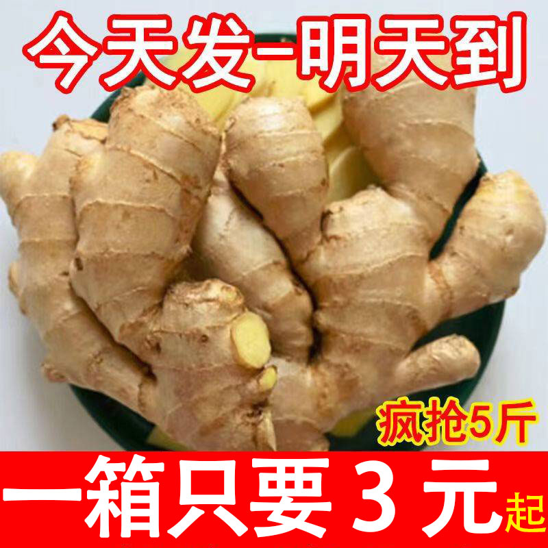 大姜鲜生姜老姜黄姜无残留新鲜当年现挖姜母月子姜出口级三斤包邮
