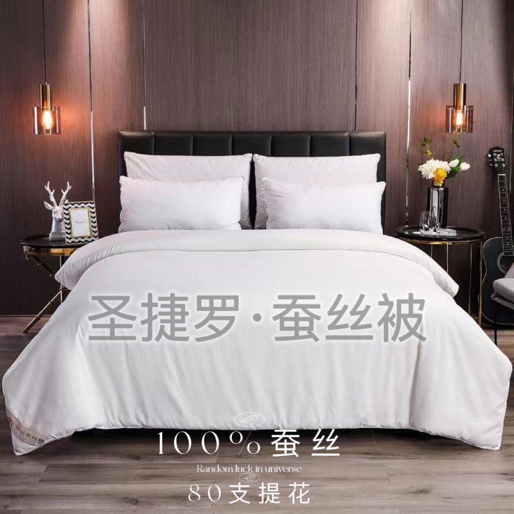 【李生严选】蚕丝被100%桑蚕丝正品春秋被子冬被加厚 B568-SJL1021