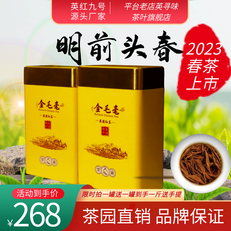 【英红九号】2023老树春茶金毛毫红茶 毫香花果香甜润耐泡250克罐