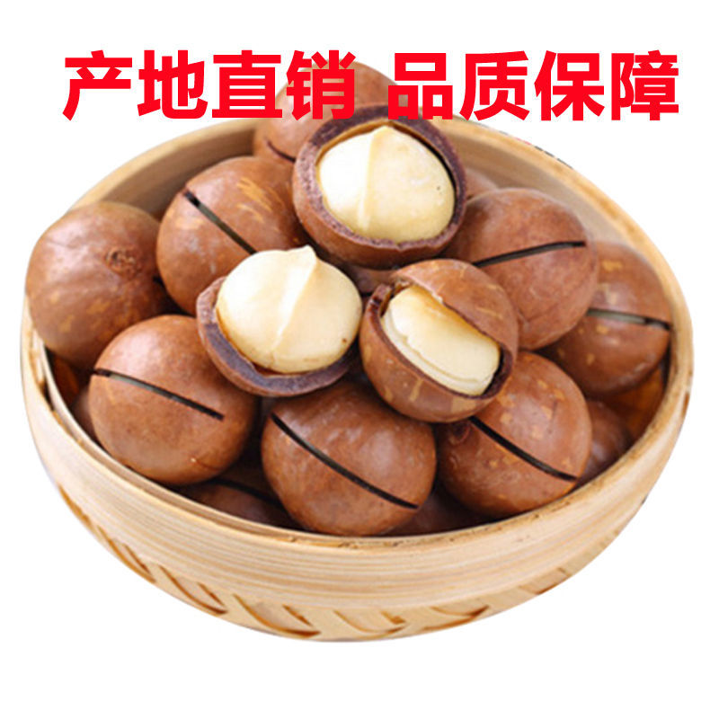 夏威夷果新货奶香味22-25中大果250克/袋装酥脆零食坚果送开口器