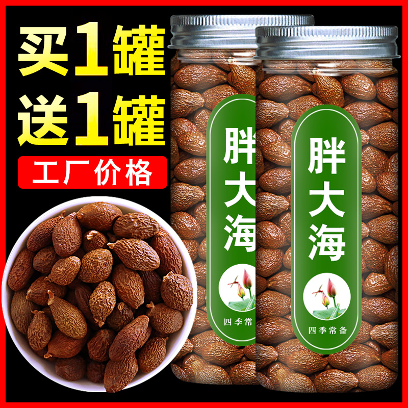 胖大海罗汉果金银花菊花甘草咽喉茶胖大海茶包