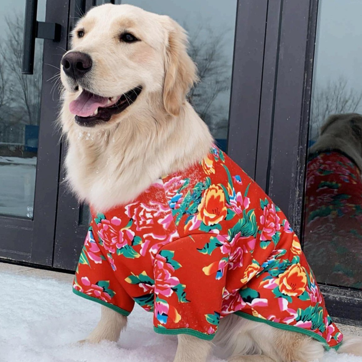 宠物衣服狗狗猫咪东北花棉袄喜庆过年保暖冬季防风防掉毛小中大型