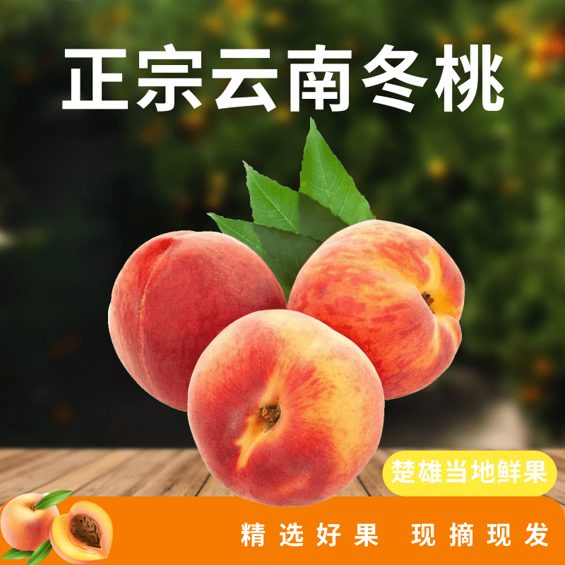 云南高山冬桃冬雪蜜桃甜脆孕妇水果现摘现发新鲜桃子新鲜采摘包邮