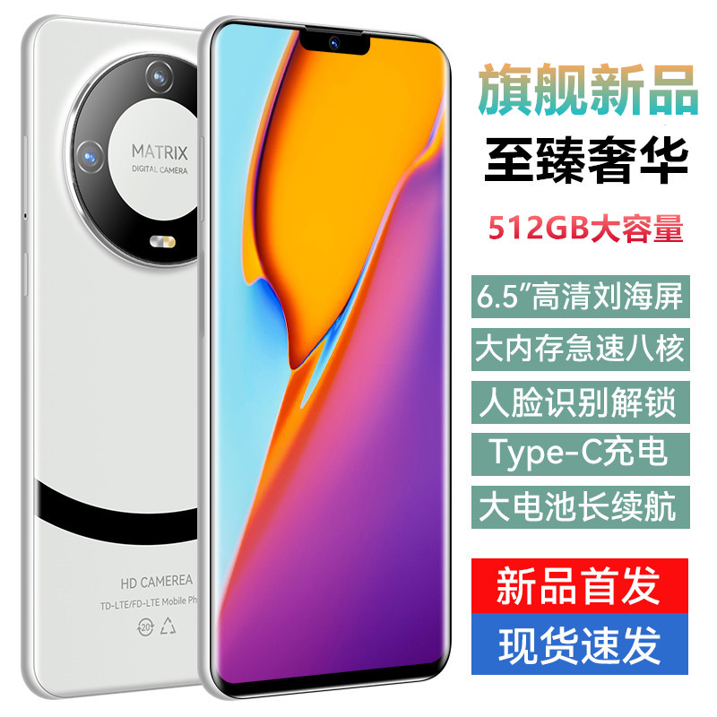 【官方正品】新款512G10核高端商务人脸双卡全网通智能手机黑白T