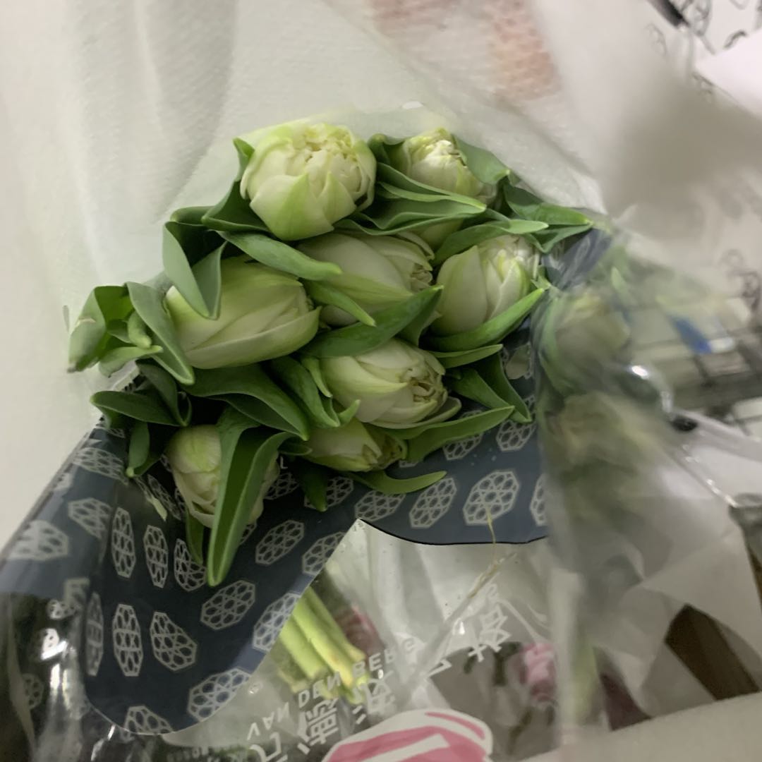 【查科仙子多头泡泡】稀有品种 应季花材 冬天把头小 属于正常 鲜花