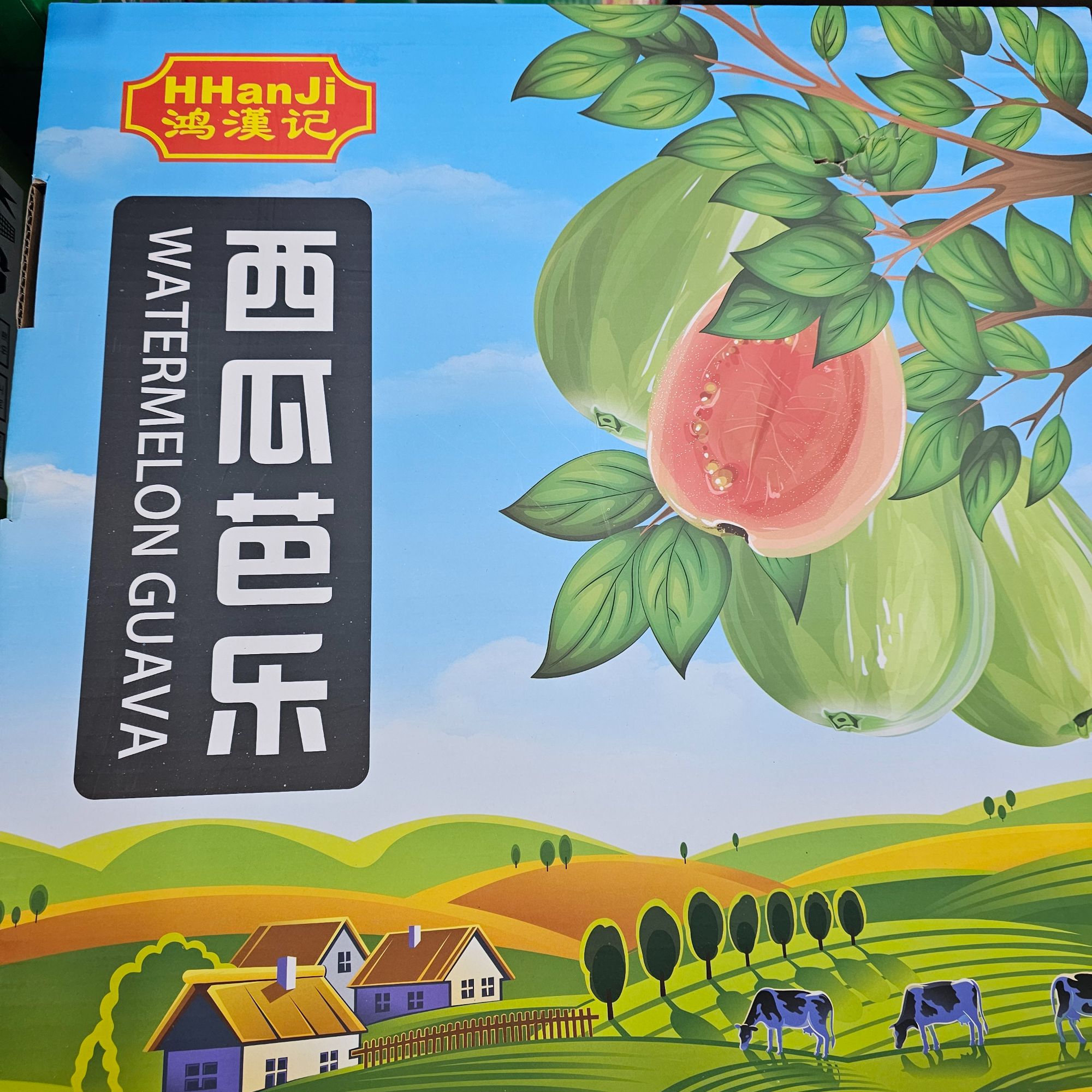 【西瓜芭乐】红色芭乐 番石榴 红心番石榴 原生态清甜软糯 顺丰包邮