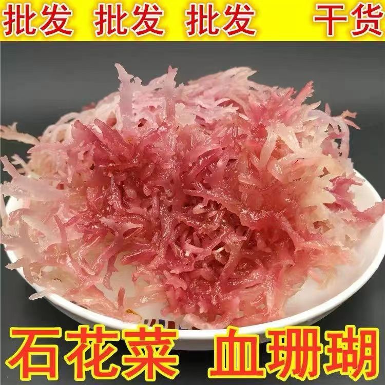 500克全干石花菜红珊瑚菜凉拌菜散装称重下酒菜食用新鲜