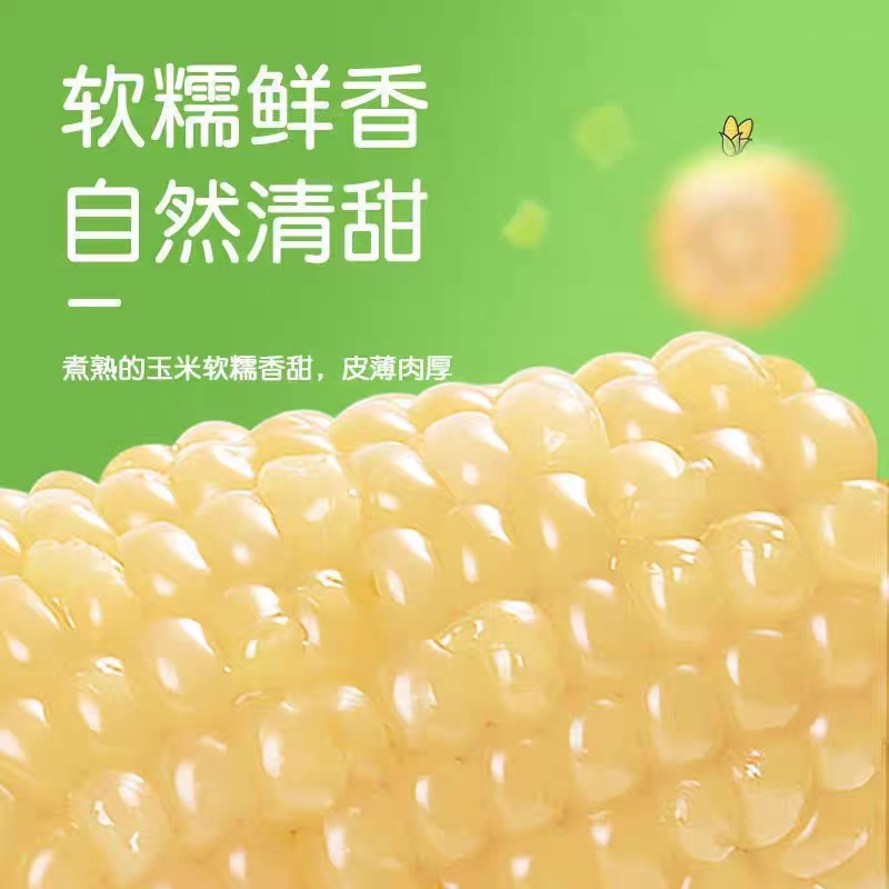 【粉丝福利】23年大白糯玉米260克×5棒非转基因0农残