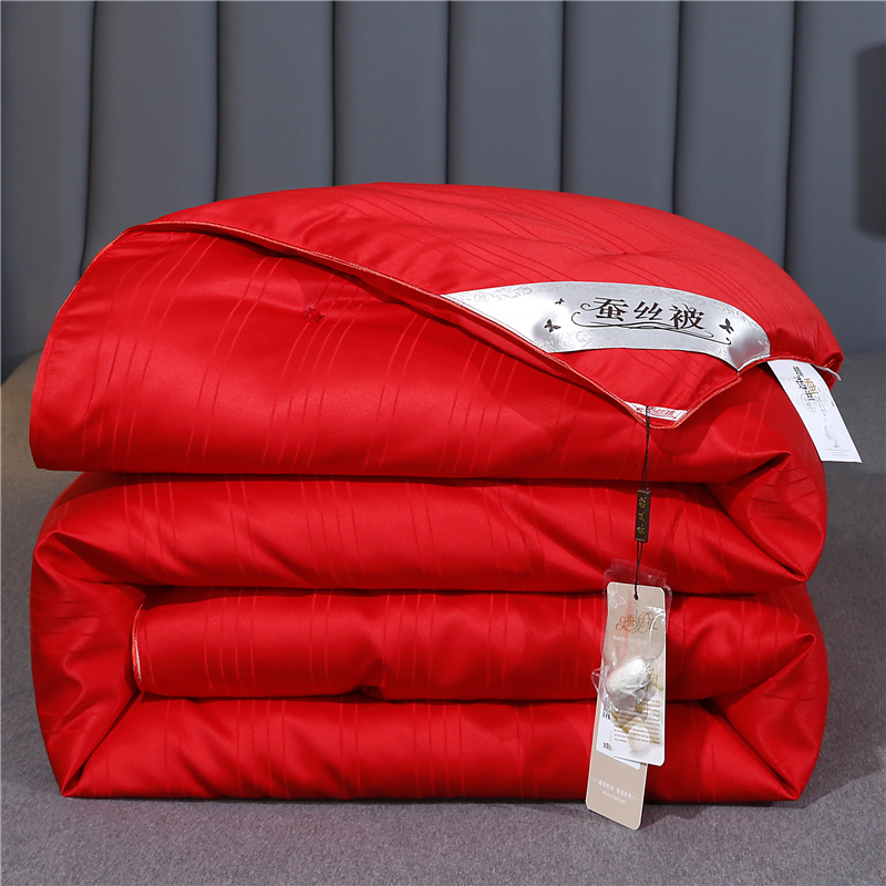 蚕丝被100高档桑蚕丝被芯春秋被空调被子母被二合一婚庆加厚冬被