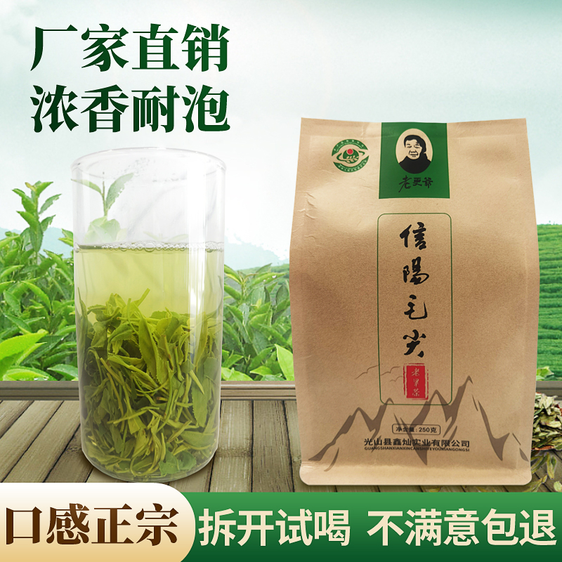 【2023年新茶】信阳毛尖春尾大叶口粮茶250克起拍生态茶叶绿茶高山