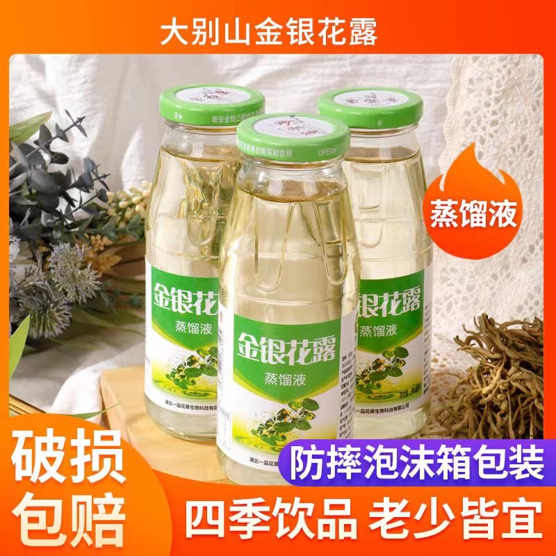 大别山金银花露成人饮料夏季解暑止渴银花露整箱蒸馏液绿色优质