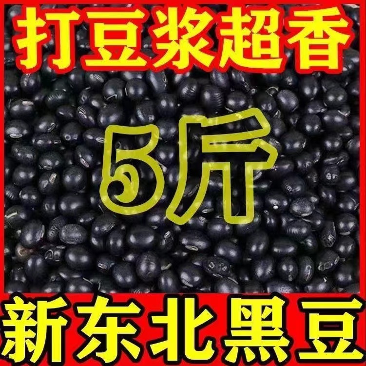 【今日特价】东北黑豆5斤黄仁发芽打豆浆泡醋杂粮黄芯心黑豆10g