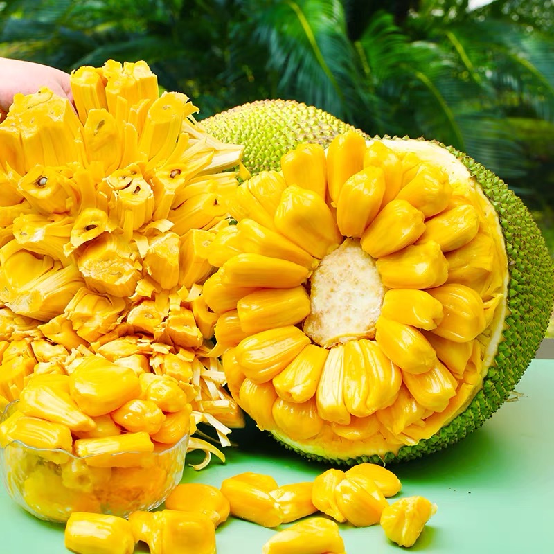 <光>海南黄肉干苞菠萝蜜新鲜水果一个当季菠萝香甜催熟热带波罗密