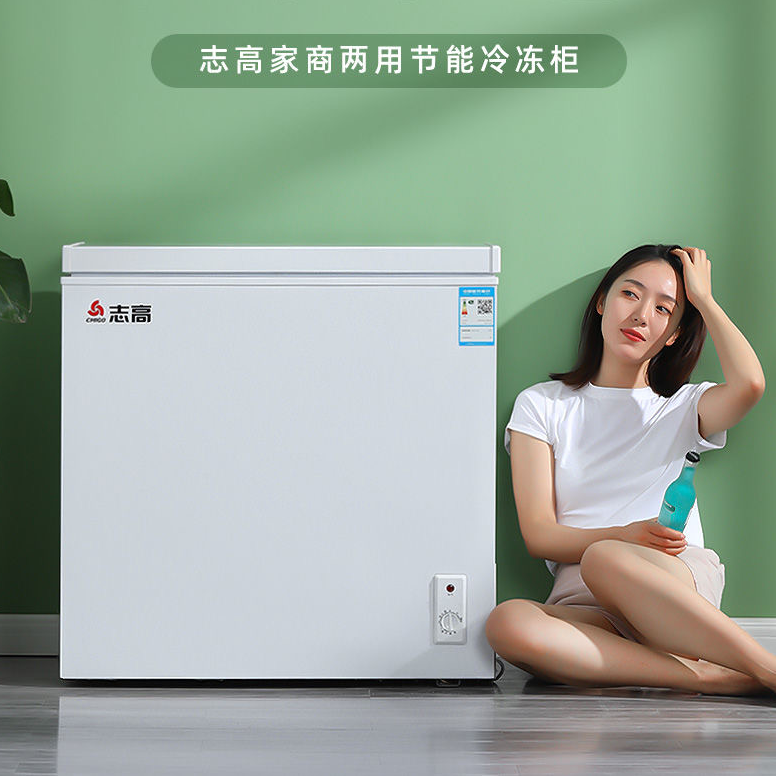 冰柜家用小型冷柜冷冻冷藏柜大容量商用两用速冻低温保鲜柜迷你