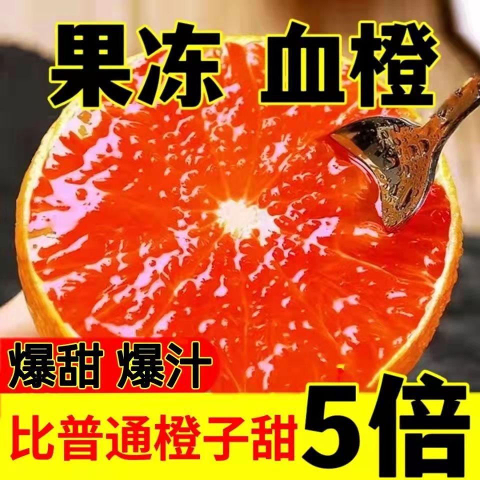 【粉丝福利】正宗中华红血橙现摘现发香甜爆汁新鲜孕妇水果5/9斤