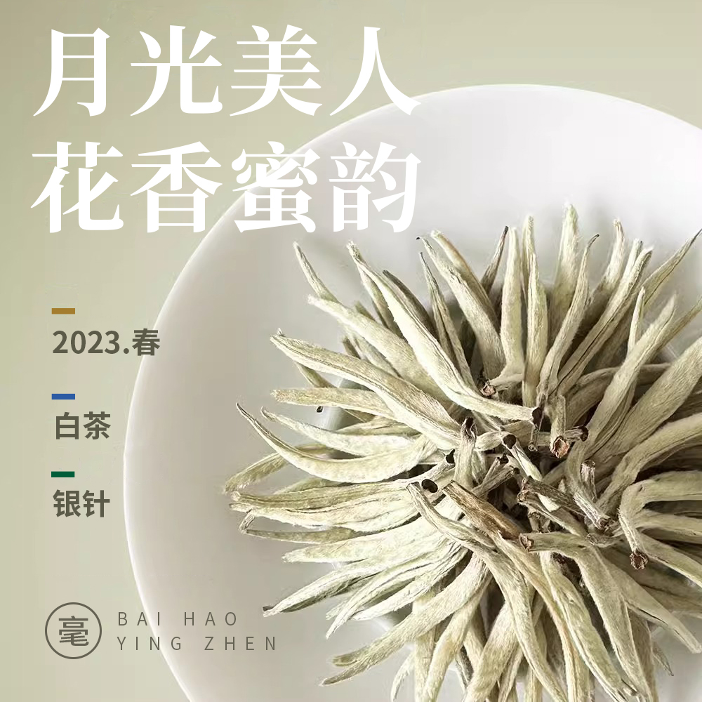 【银针亏本试喝】2023年春茶白毫银针 景谷白茶花香大白毫清香甘甜