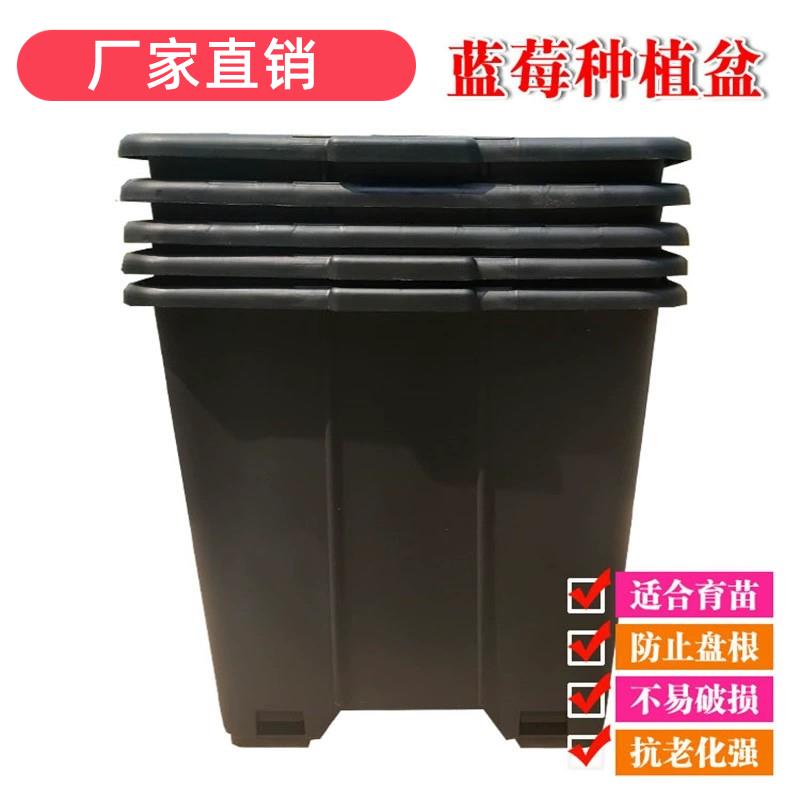 蓝莓种植专用盆塑料花盆加厚树脂方形控根盆绿植花卉大中小号透气
