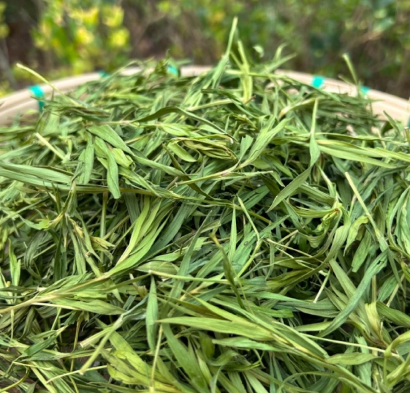 【莎莎专属山货】雪域冰竹 净含量250g起