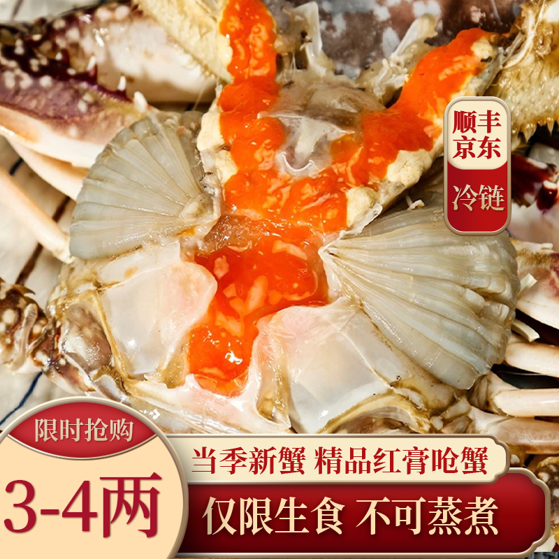 XX 3-4两舟山飞机膏精品红膏呛蟹（仅限生食不可蒸煮）炝梭子蟹腌制