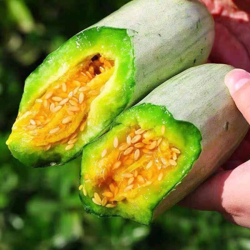 山东头茬羊角蜜甜瓜3-4.5斤新鲜当季脆甜蜜瓜甜脆美味时令水果