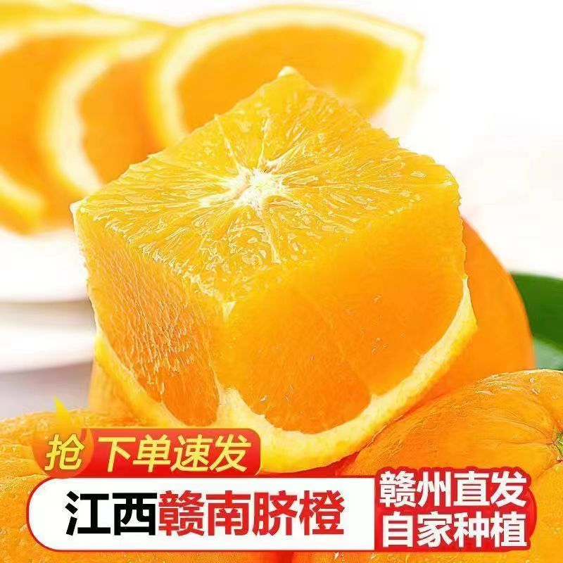 正宗赣南脐橙原产地直发新鲜水果赣州手剥甜橙子应季脐橙大果