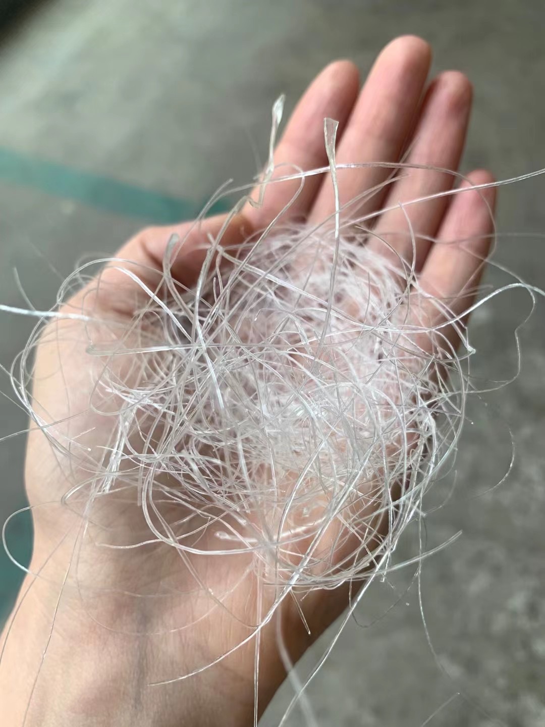 【山货】龙须雪燕 植物 参炖甜品