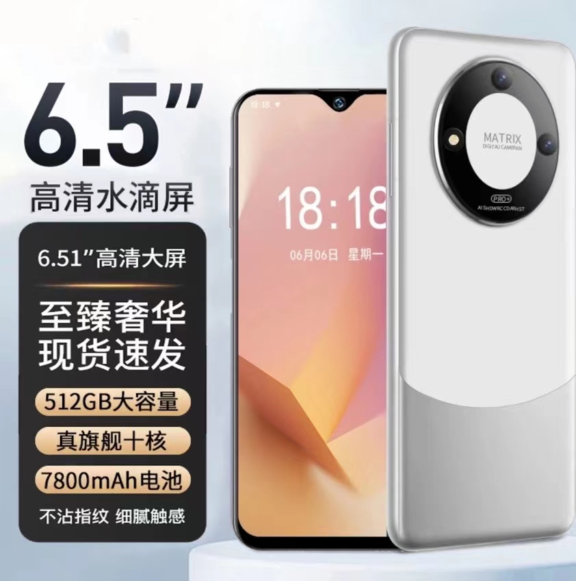 【官方正品】新款512G10核高端商务奢华人脸双卡全网通智能手机黑白