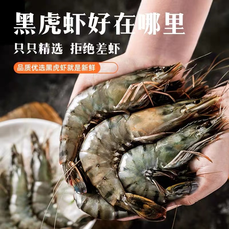v.木大姐连云港黑虎虾到手3斤/盒 1斤10-13只 生鲜冷冻黑虎虾