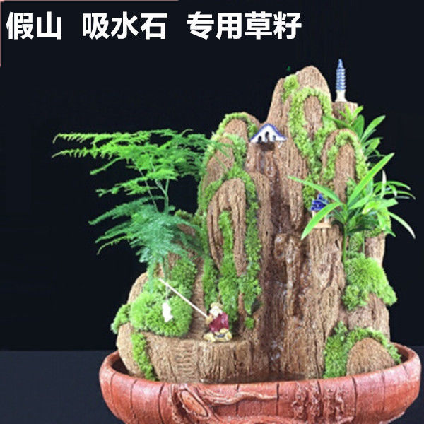 假山草籽草种子上水石吸水石盆景植物珍珠草心形圆叶草混装微庭院