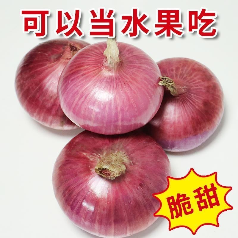 （产地直发）山东二红水果扁洋葱新鲜农家种植现挖5斤装自种净重