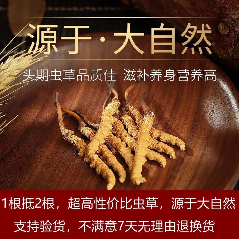 q虫夏草正宗野生正品佳品泡酒料6根1克甘孜藏区高海拔小虫草