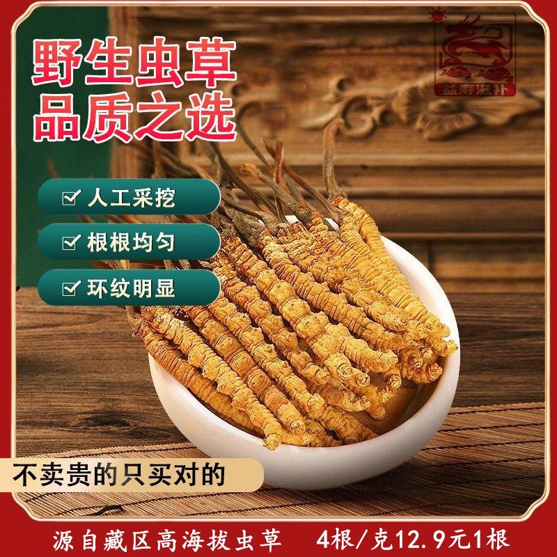 q甘孜藏区高海拔小虫草佳品泡酒料6根1克正宗野生冬虫夏草正品