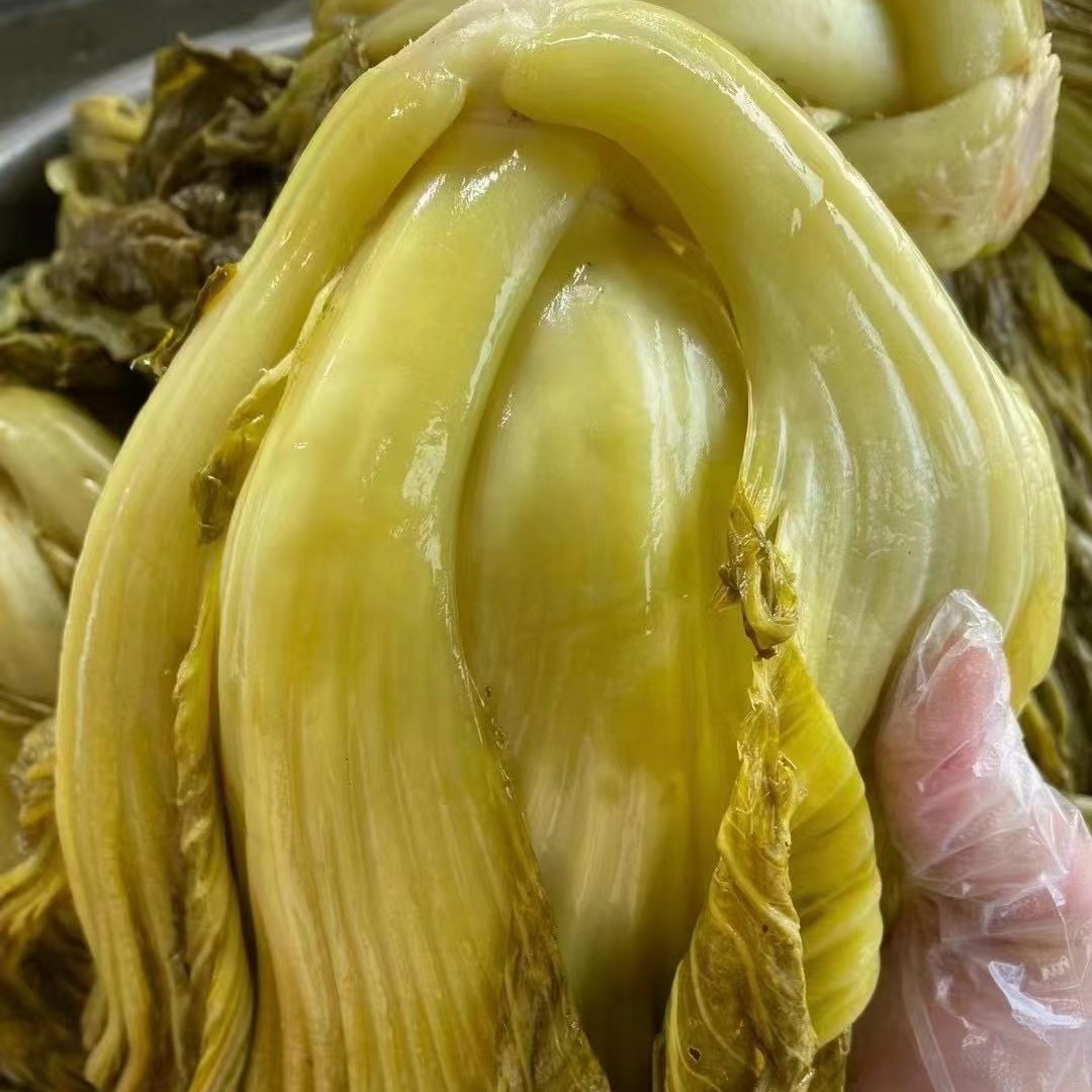 无盐酸菜芥菜酸500g