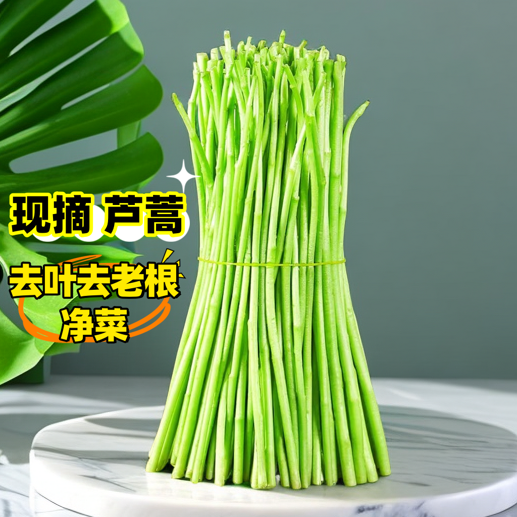 农家自种精选蔬菜嫩芦蒿杆子藜蒿黎蒿去叶老根净菜柳泥蒿野菜新鲜
